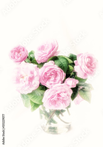 Delicate pink roses. DogRose Pink Rosa Canina Flowers.Valentine