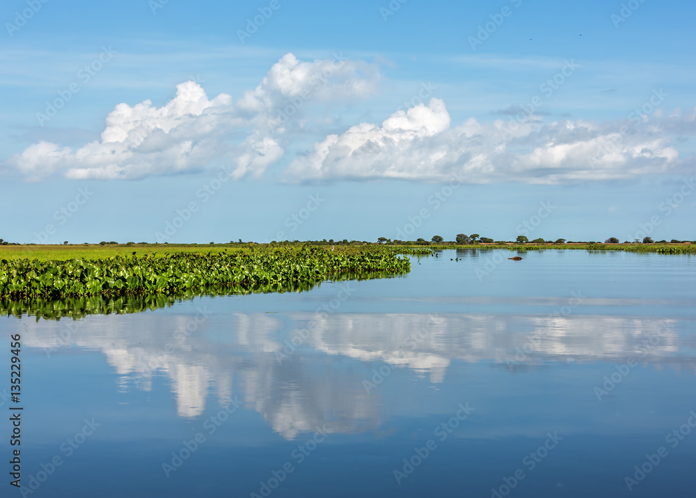 Obraz premium Endless water world in Los Llanos - El Cedral, Venezuela, South America