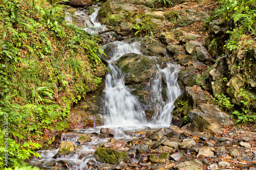 Small waterfall in beech forest. Rosa Khutor resort, Sochi, Russia