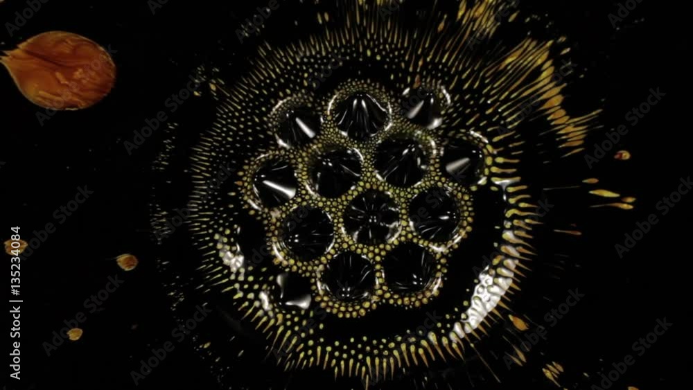 Fantastic patterns and shapes. Ferrofluid and paint. Close-up. Fantastic patterns and shapes. Ferrofluid and paint. Close-up.