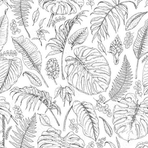 Hand Drawn Tropical Plants Pattern