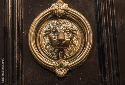  Brass knocker in the shape of a lion's head on the brown door