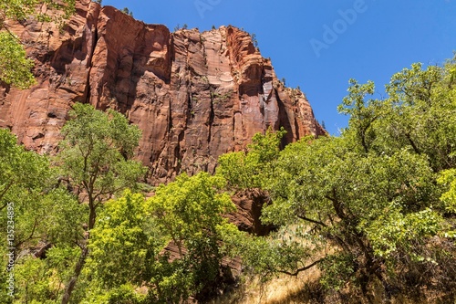 Red Rock Cliffs in Zion National PArk