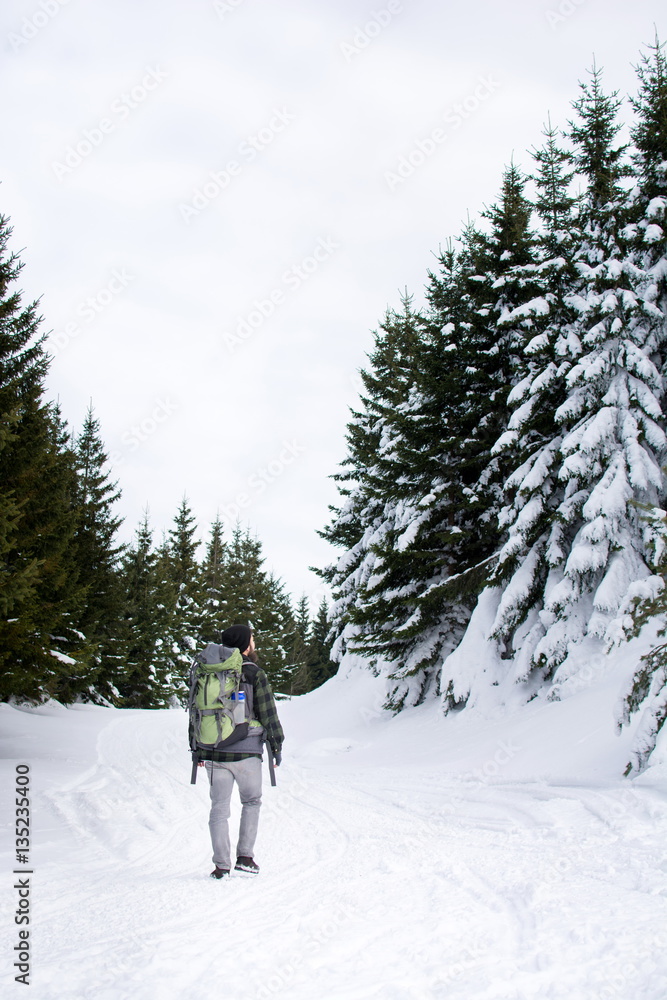 Man among snow covered pine trees