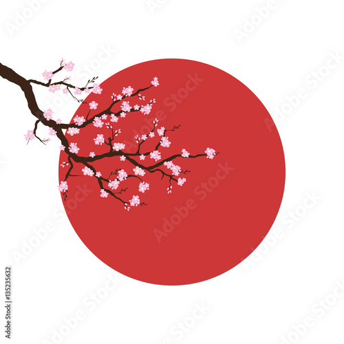 Obraz na plátně Branch of sakura blossoms against a background of the sun