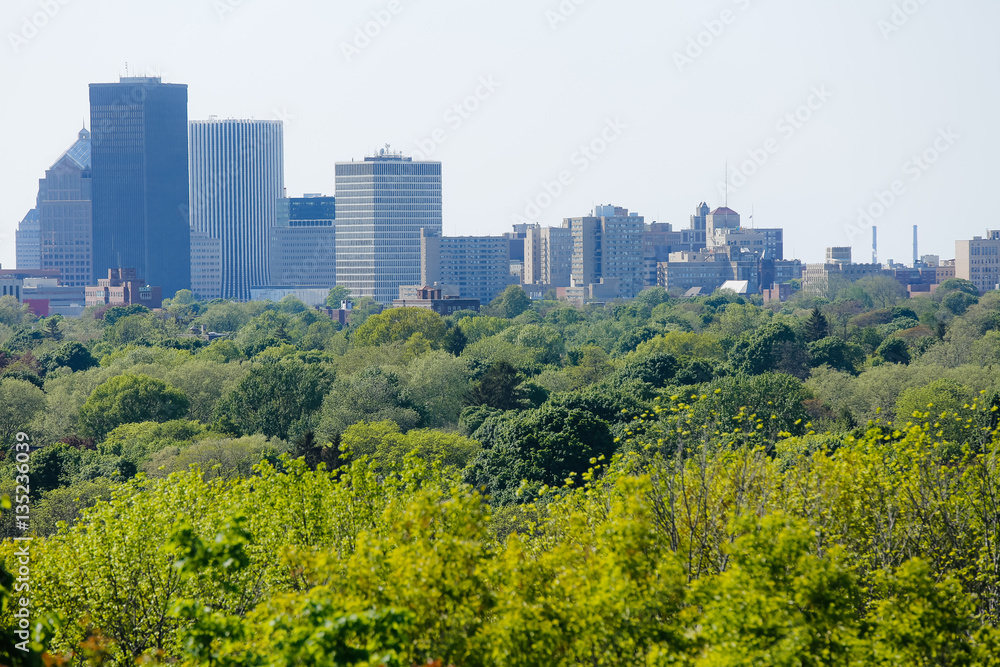 Green trees in spring spread out in front of the Rochester, New York skyline in afternoon light