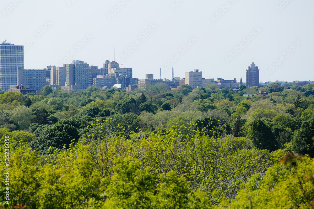 Green trees in spring spread out in front of the Rochester, New York skyline in afternoon light