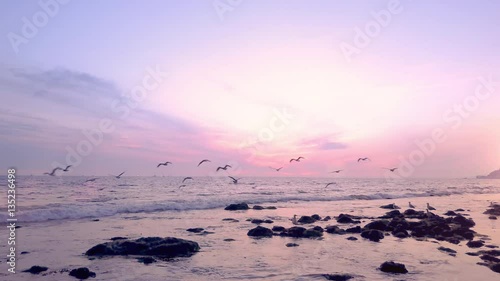 Flock of Birds Swarm at Ocean Sunset 01