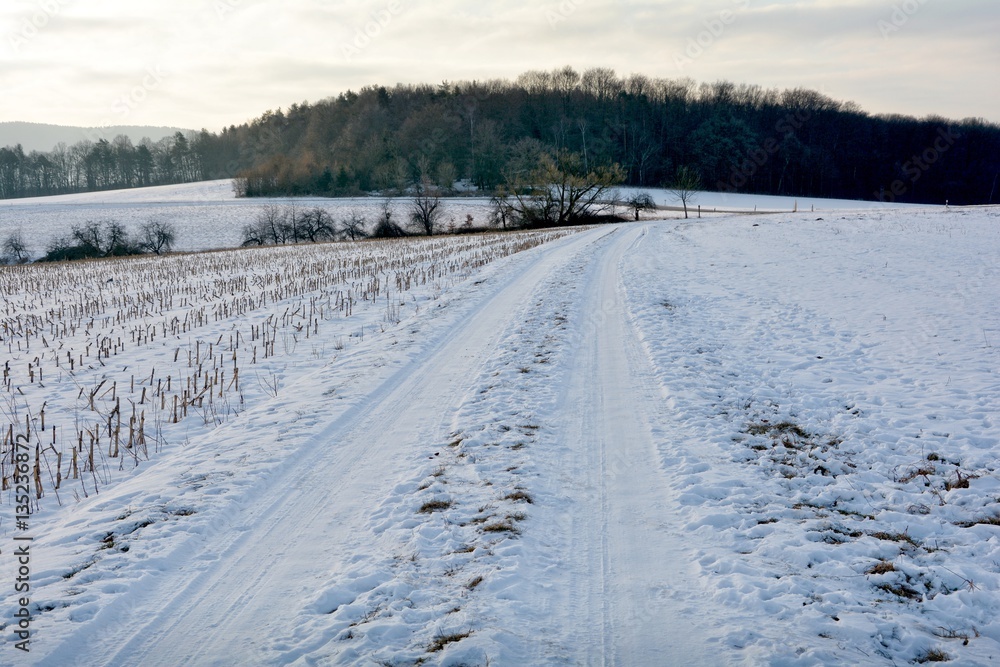 Verschneiter Feldweg mit Stoppelfeld links , Acker rechts und Wald vorne am frühen morgen
