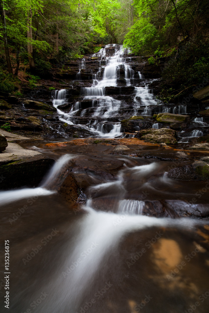 Fototapeta premium Colors of Spring