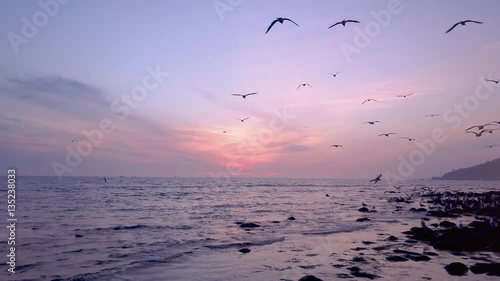 Flock of Birds Swarm at Ocean Sunset 02