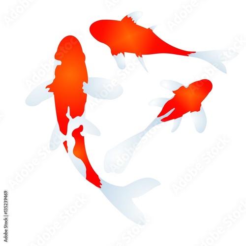 Koi Fish Vector Illustration