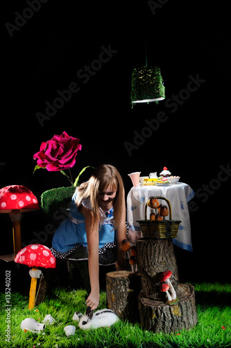 Alice in Wonderland photo