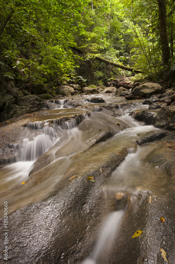 Fototapeta premium Batanta Island River, Raja Ampat, Indonesia. A beautiful tropical river meanders through a rain forest environment on Batanta Island in West Papua, Indonesia.