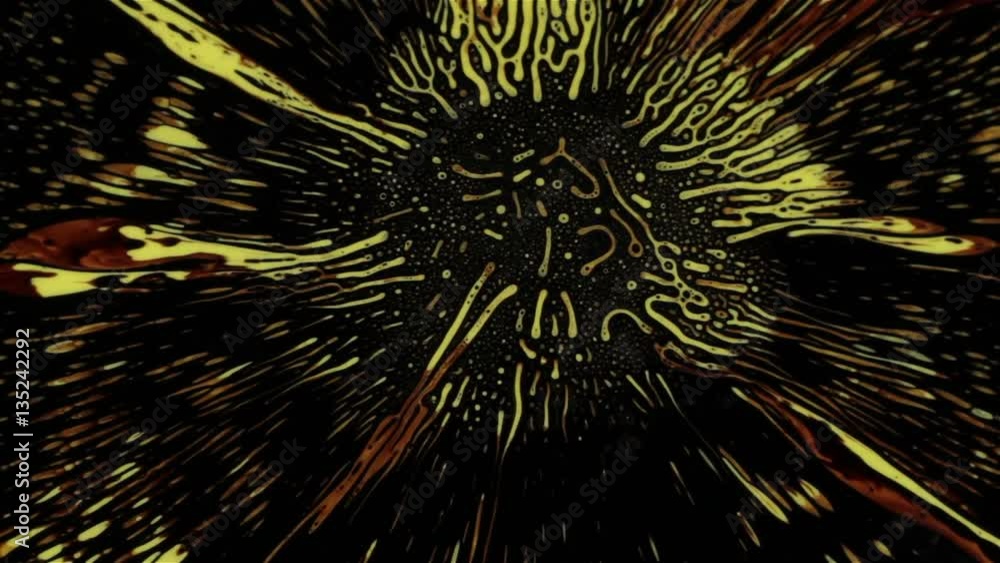 Fantastic patterns and shapes. Ferrofluid and paint. Close-up. Fantastic patterns and shapes. Ferrofluid and paint. Close-up.