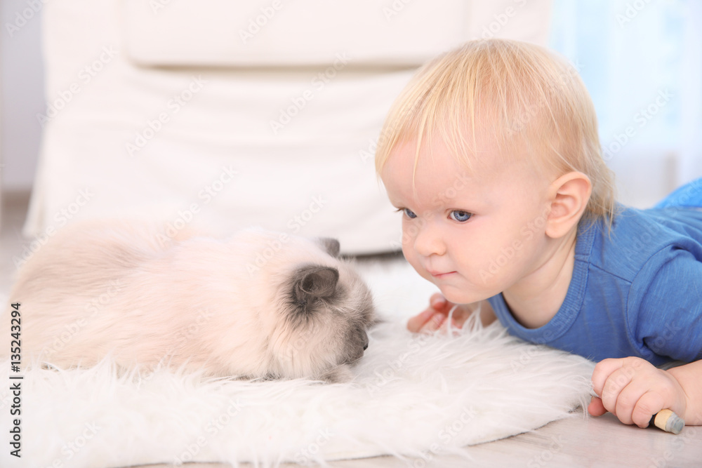 Cute little boy with fluffy cat on floor