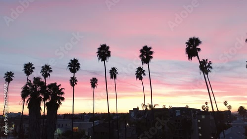 Aerial Drift across Row of Palm Trees at Sunset 03