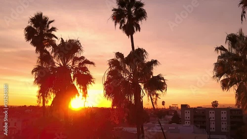 Aerial Drift across Row of Palm Trees at Sunset 02