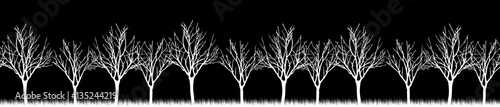 Vector. Stylized tree, Silhouettes of trees , seamless texture w
