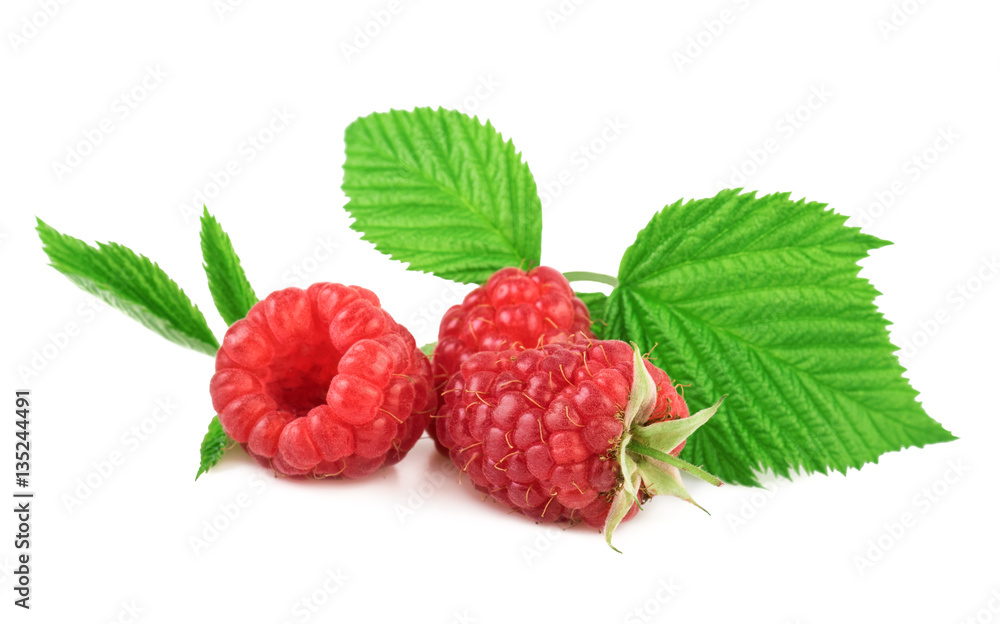 raspberries with green leaf organic berry isolated on white close up raspberries with green leaf organic berry isolated on white close up