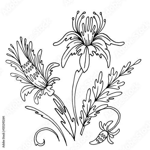 Vintage style vector flowers. Hand drawn floral illustration with flowers and leaves. Botanical illustration