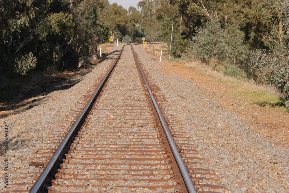 transport,train,railway,railroad,track,line,stone,gravel,ballast,tree,eucalyptus,Australia,day,sunny,