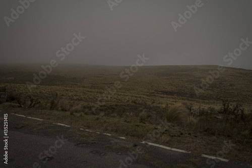 Catamarca - Road