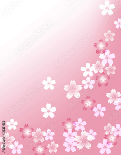 桜 和柄 花見