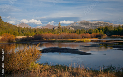 Meadows in the Fall