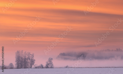Pink fog in winter morning