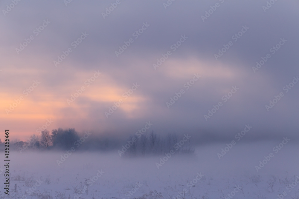 Naklejka premium Foggy winter landscape