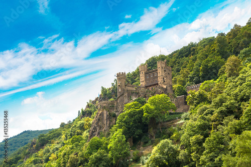 Romantic castles in Rhine valley © Sergii Figurnyi