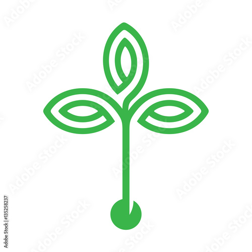 plant with seed and green leaves logo icon design