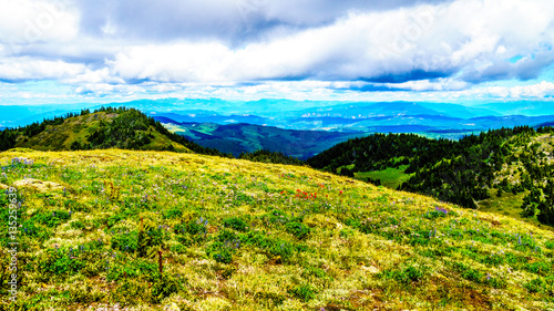 View from the top of Tod Mountain in the Shuswap Highlands of central British Columbia, Canada