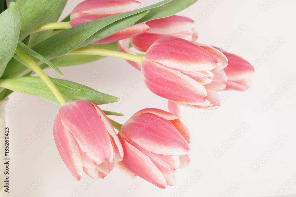 Fototapeta premium bukiet tulipanów