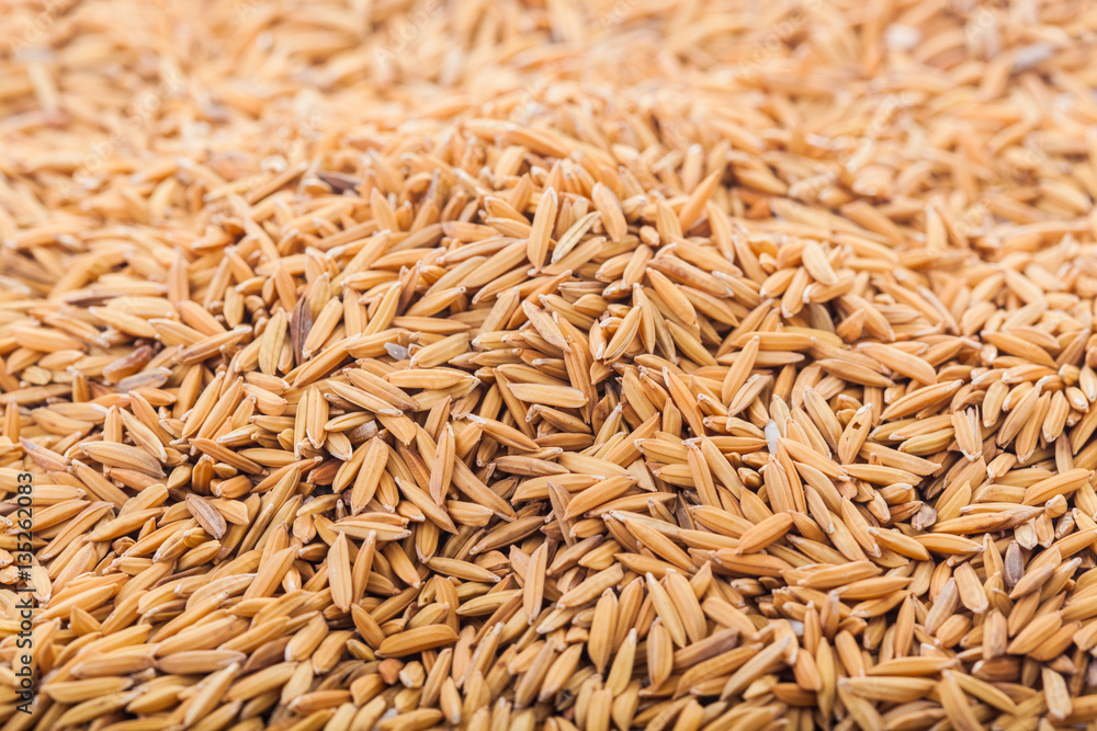 Closeup details background. Pile of unmilled rice with selective focus. Closeup details background. Pile of unmilled rice with selective focus.
