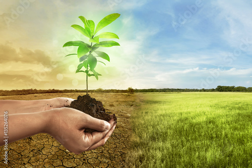 Hand holding plant on soil in over cracked earth