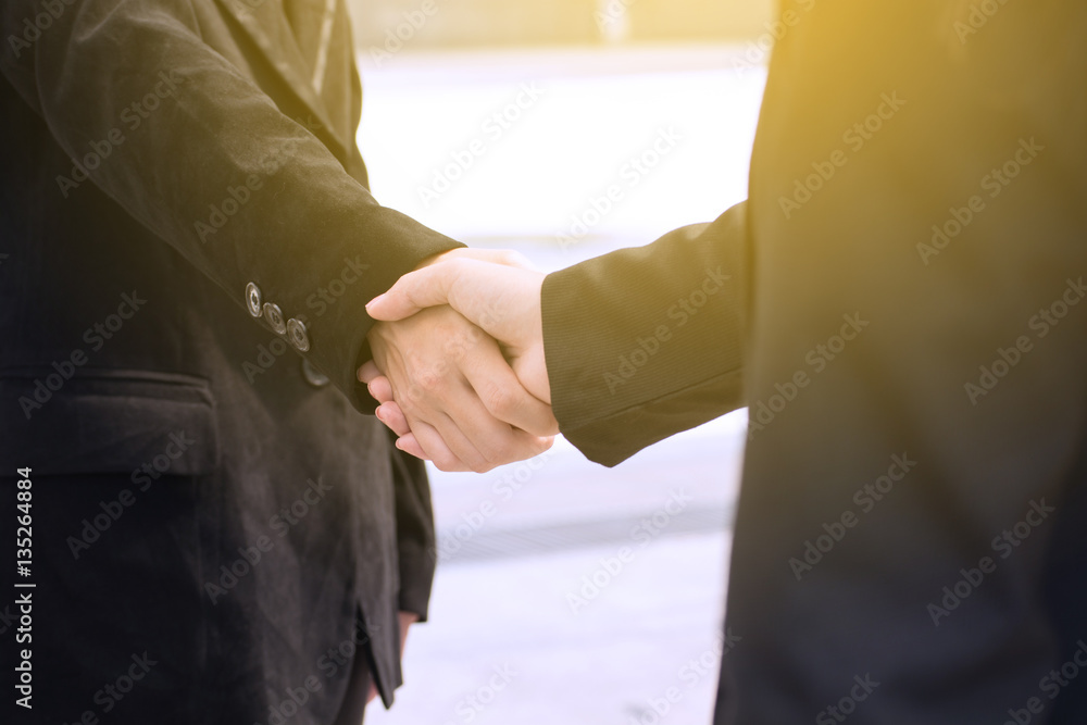 Businesspeople make Handshake