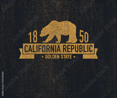 California t-shirt with grizzly bear. T-shirt graphics, design, print. Vector illustration.