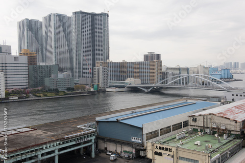 In the picture we can see a beautiful modern bridge over a river in the middle of a city in Japan. 