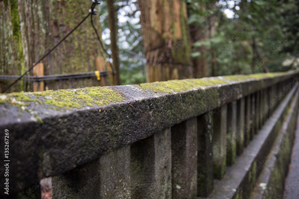 Architecture of an ancient buddhist monastery in Japan is seen. It is a sacred and pious place for all. On the background, lush green trees are seen. The design looks stunning.