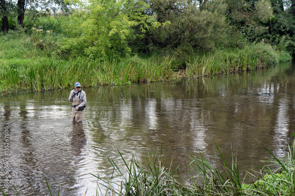 Fisherman catches tenkara on a beautiful forest creek.
