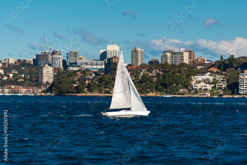 Boat with white sail, yacht on Sydney Harbour