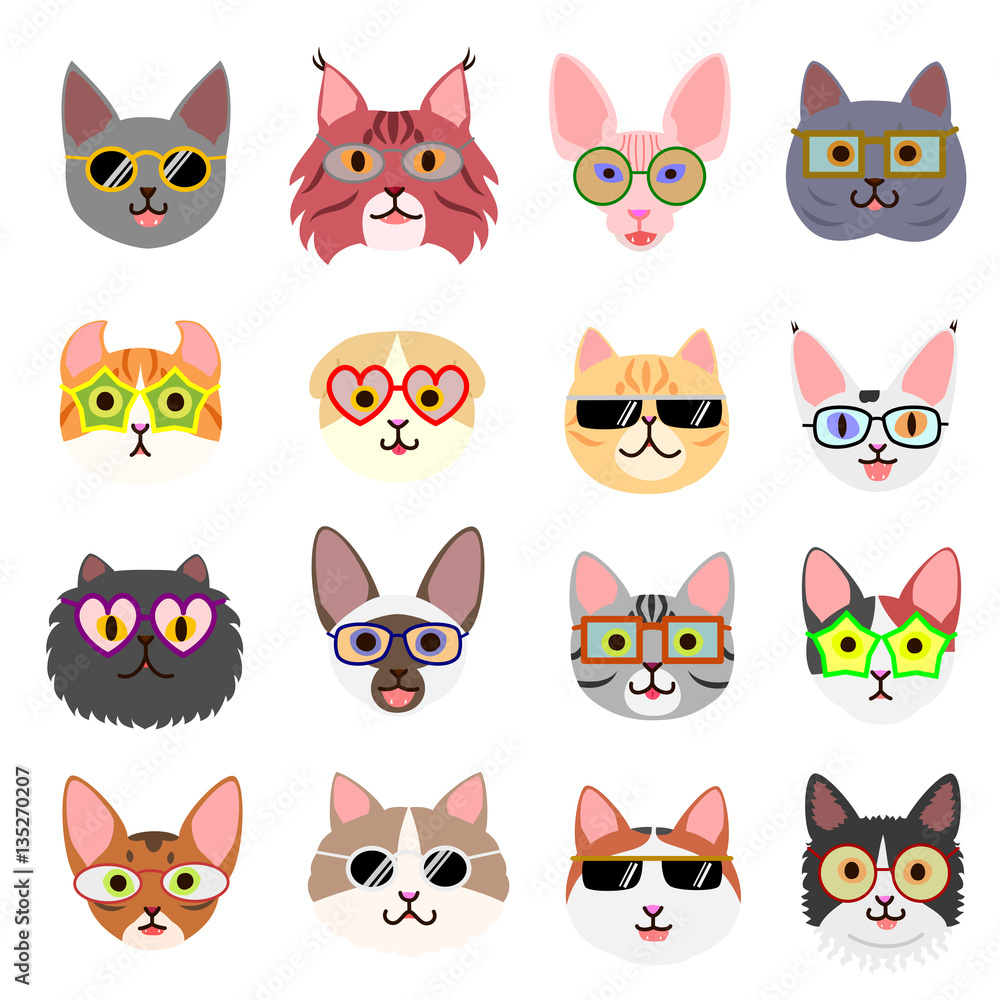 cute cats faces with glasses cute cats faces with glasses