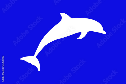 dolphin