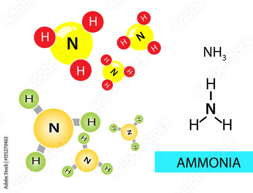 Ammonia molecules