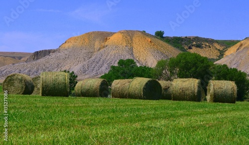 Photography First cutting with hay bales
