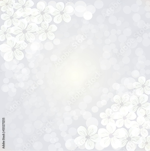 BLOSSOM BACKGROUND, FLOWER BACKGROUND