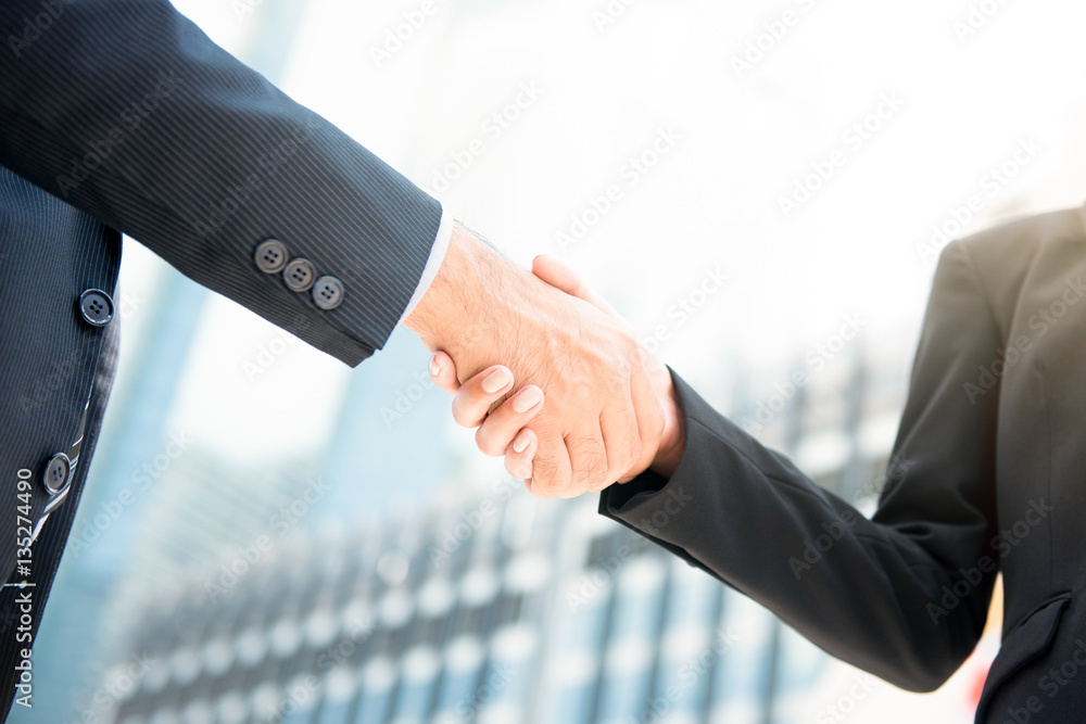 Businessman making handshake with a businesswoman