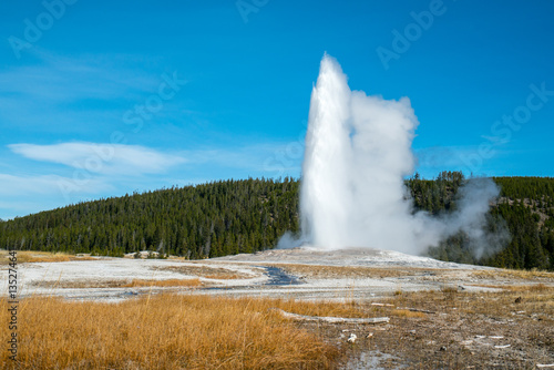 Old faithful geyser erupting